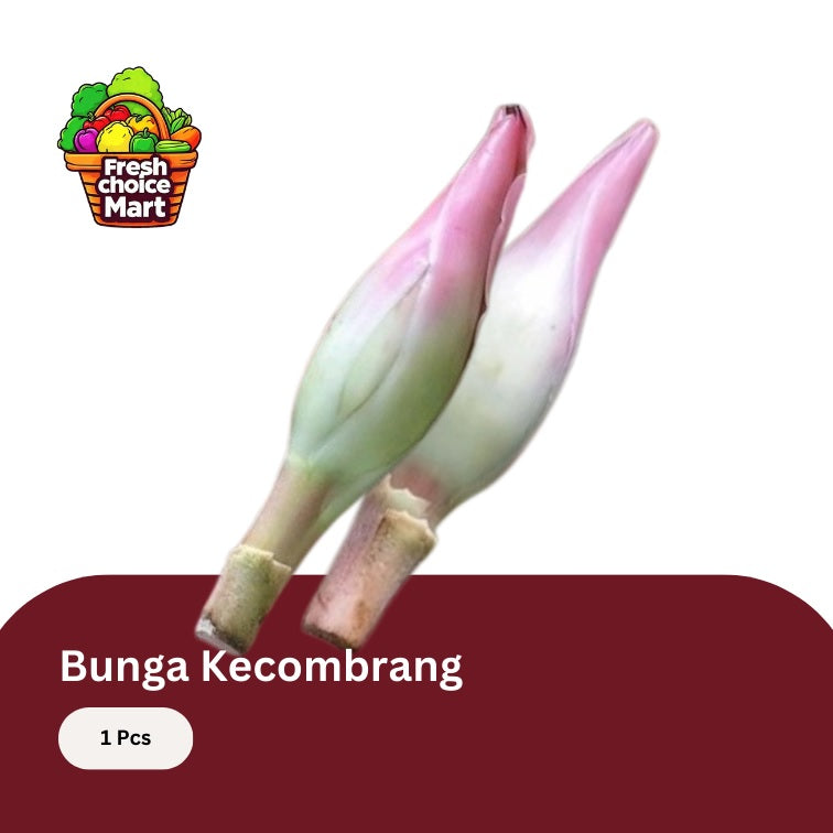 Bunga Kecombrang