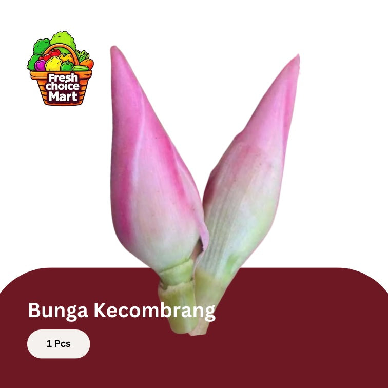 Bunga Kecombrang