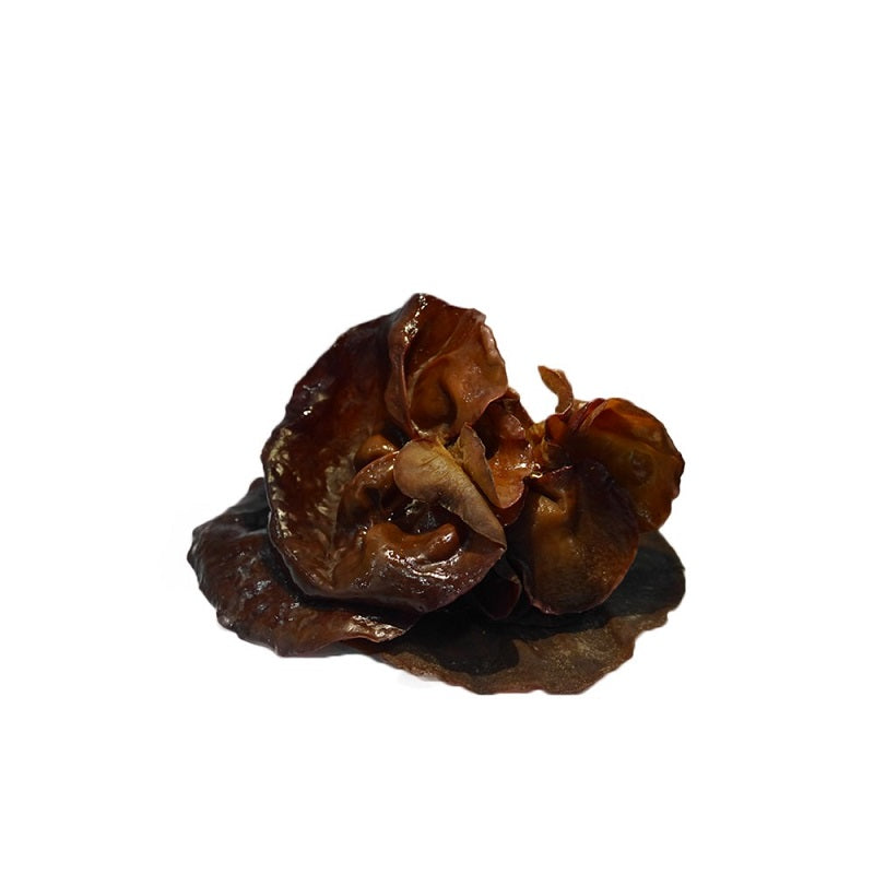 Jamur Kuping (Fresh)