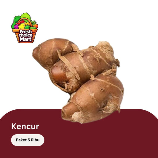 Kencur