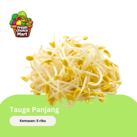 Tauge Panjang