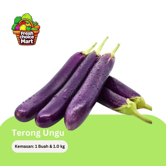 Terong Ungu