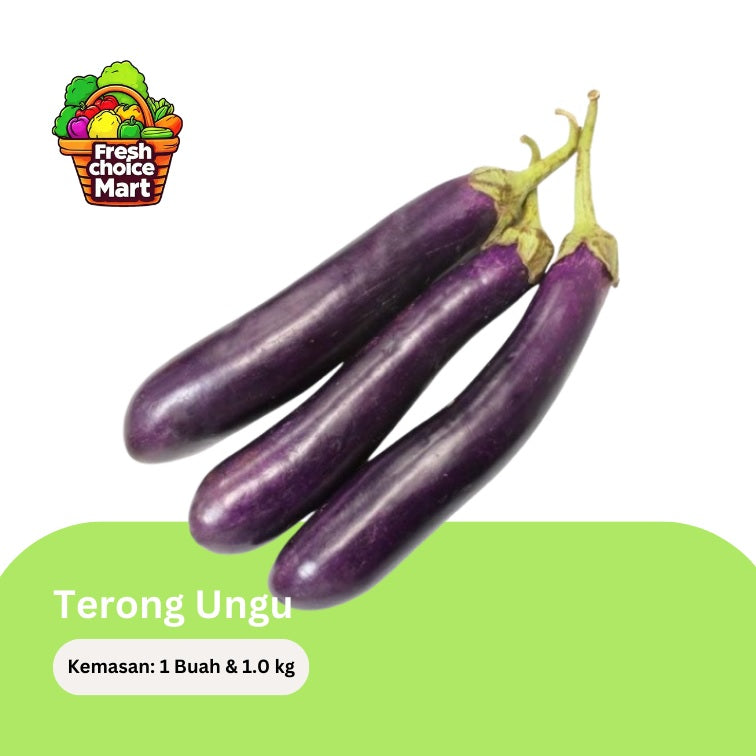 Terong Ungu