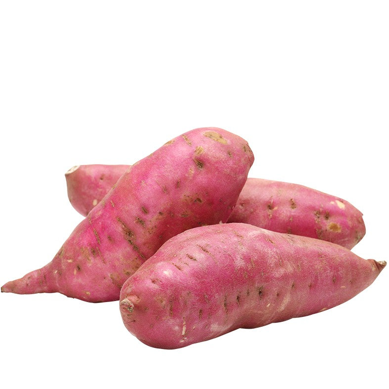 Ubi Ungu