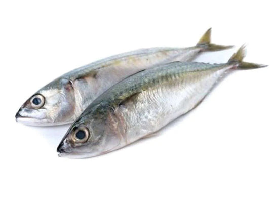 Ikan Kembung Banjar 1kg (Glazed)