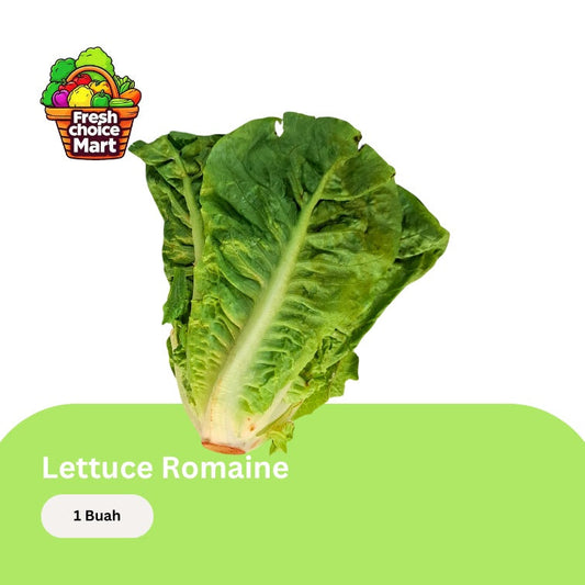 Lettuce romaine